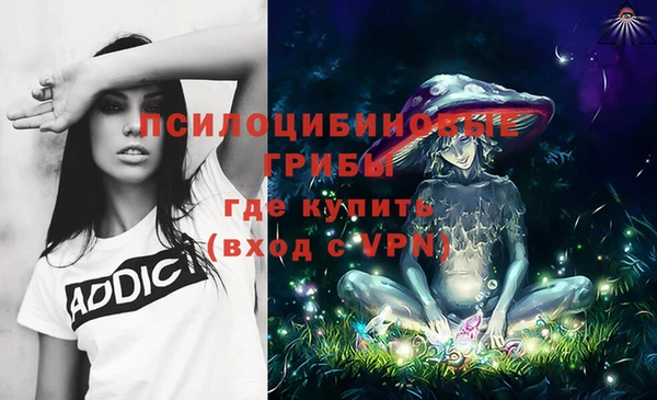 apvp Волосово