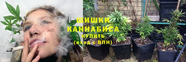 дживик Волоколамск