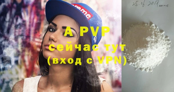 ПСИЛОЦИБИНОВЫЕ ГРИБЫ Верея